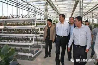 畜牧業(yè)超級(jí)經(jīng)銷商商學(xué)院第三期招生開(kāi)啟 賦能飼料銷售新未來(lái)