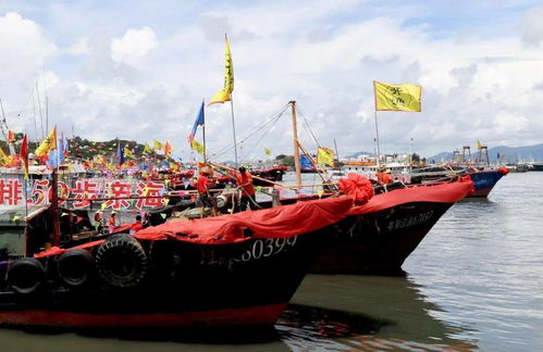第十八屆南海陽江開漁節(jié)隆重舉行，全省漁船揚(yáng)帆起航，畜牧漁業(yè)飼料銷售迎來新機(jī)遇