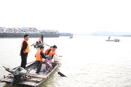 固鎮(zhèn)縣畜牧獸醫(yī)水產(chǎn)局積極實施漁業(yè)增殖放流 保障生態(tài)平衡與飼料銷售協(xié)同發(fā)展