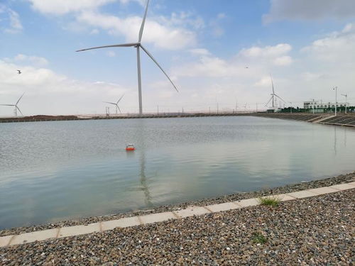 智慧漁業(yè) 水質監(jiān)測守護藍色生態(tài)，協(xié)同飼料銷售驅動產(chǎn)業(yè)升級